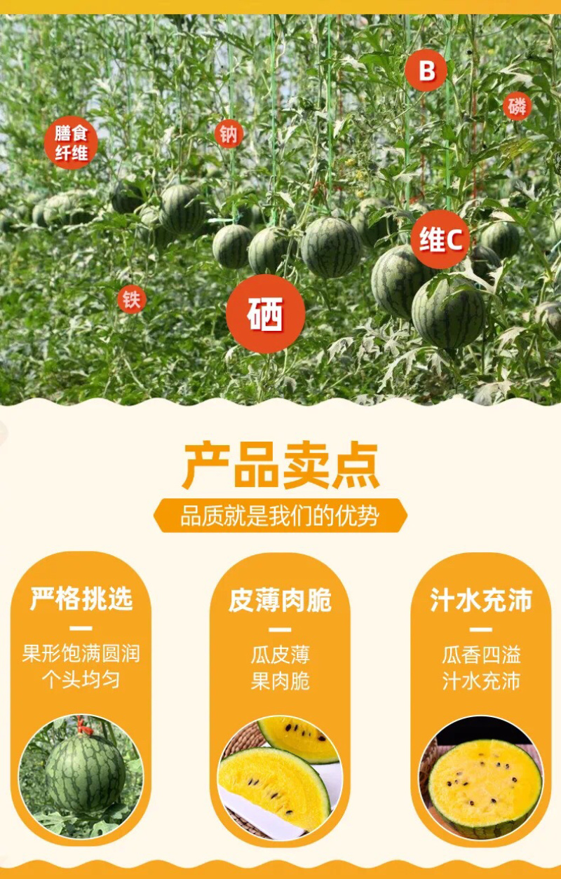 仁风富硒西瓜黄心西瓜当季新鲜水果商超品质产地直发