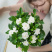 栀子花盆栽四季开花植物室内室外花卉绿植水培观光植物