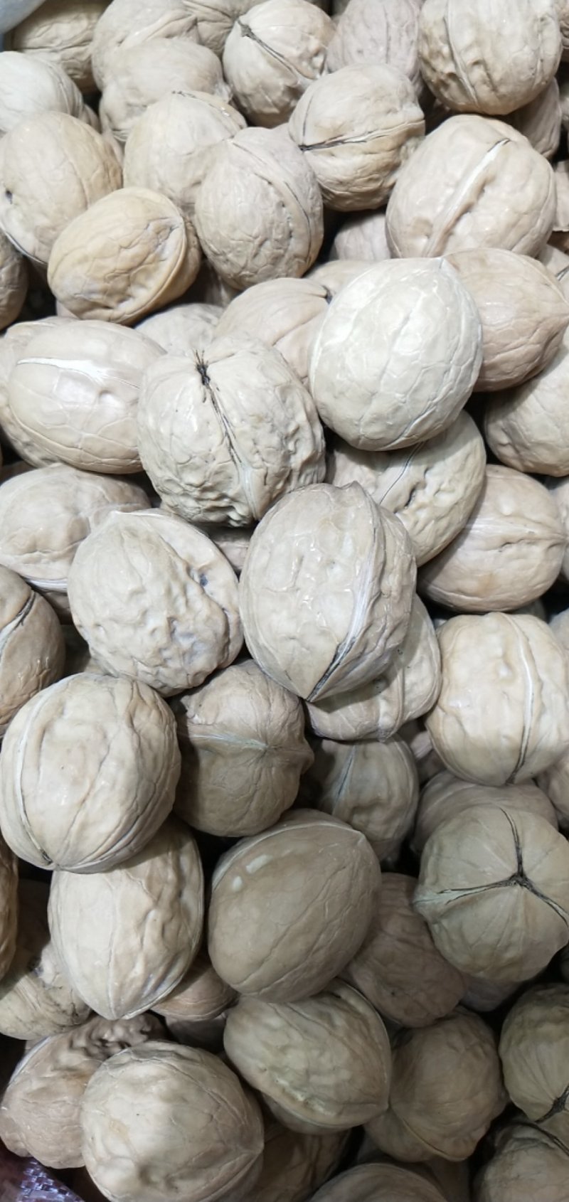薄皮核桃去皮25~30mm干