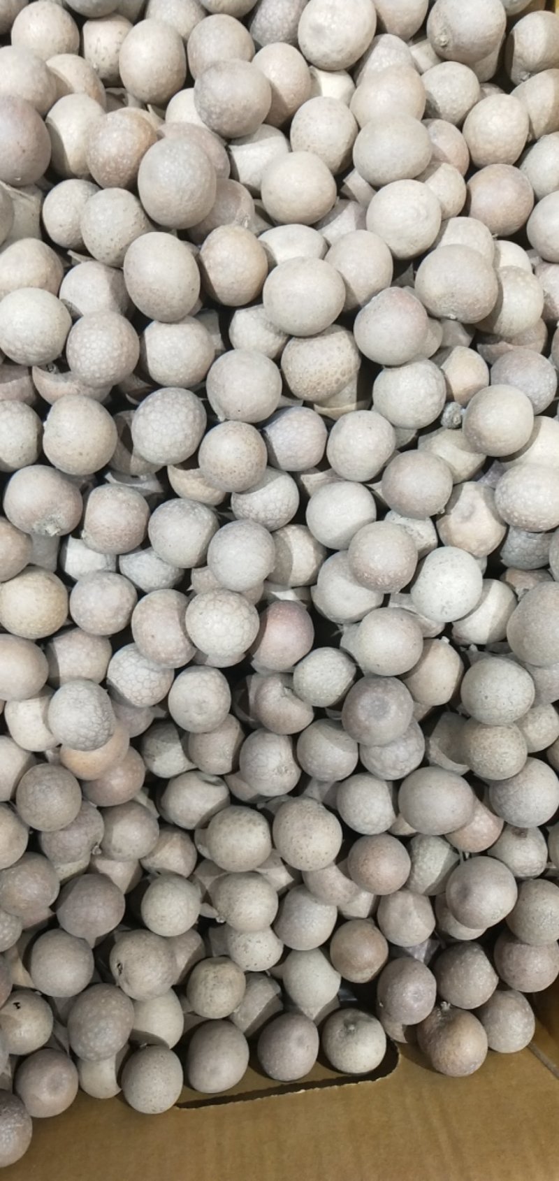 桂圆泰国进口干龙眼煲汤煮粥泡茶直销批发