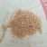 麸皮大厂麸皮五得利华龙诚信经营质量可靠