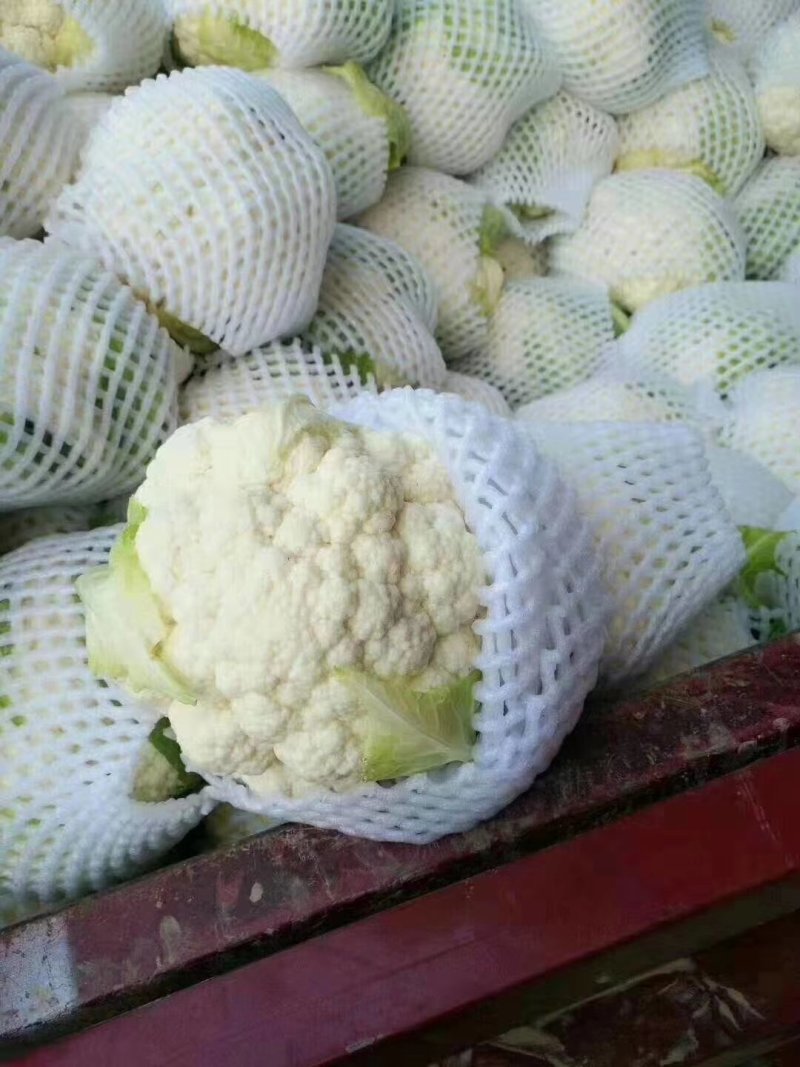 菜花