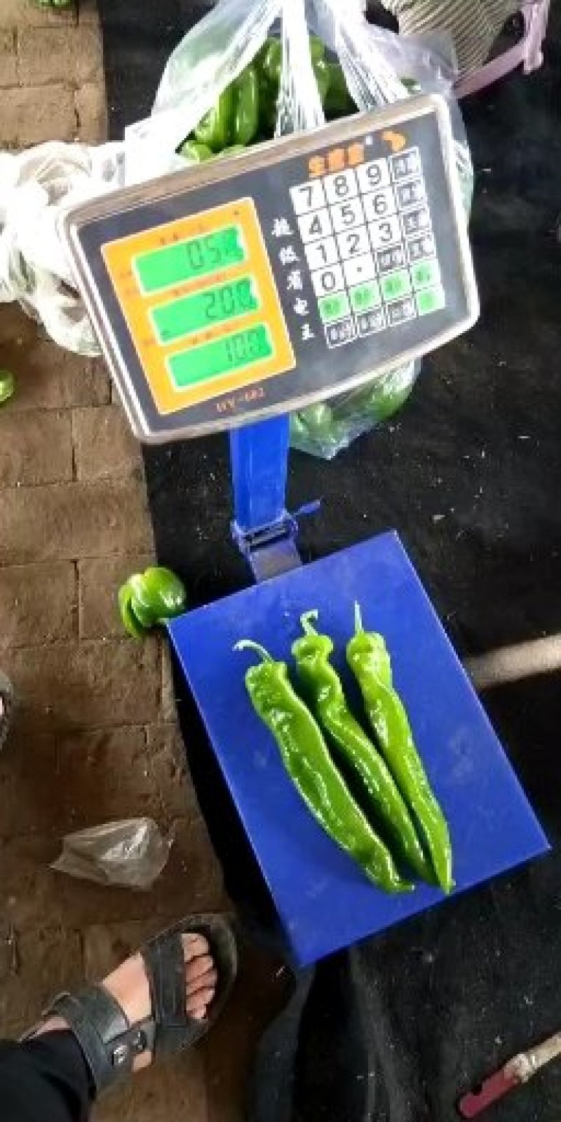 鲜辣椒上市