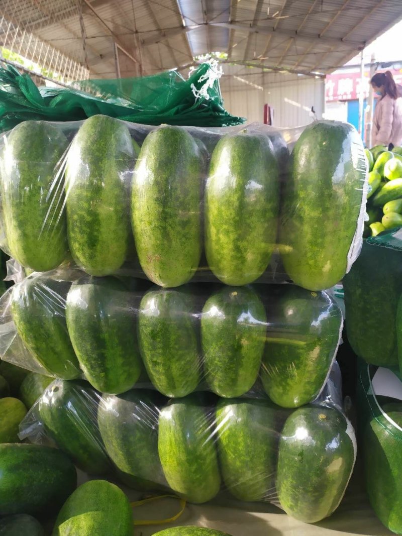 青皮吊冬瓜大量供应欢迎光临