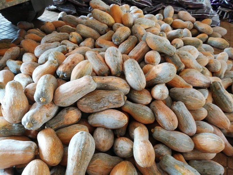 徐闻县基地精品市场超市蜜本小南瓜，全国代发，诚信经营