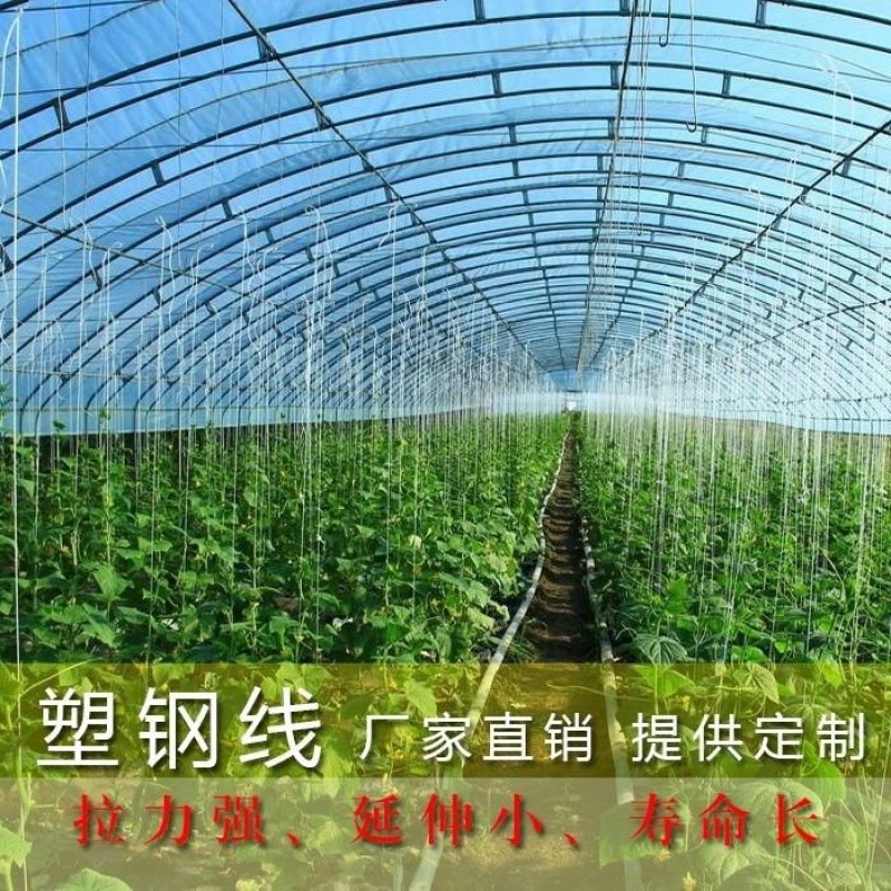 塑钢线（直销包邮）高强度塑钢线压膜线托幕线大棚线百香