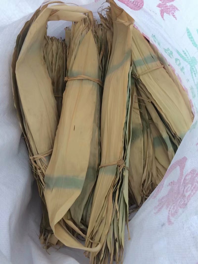 优质马蹄笋产地直发现摘现卖质量保证可视频看货量大从优