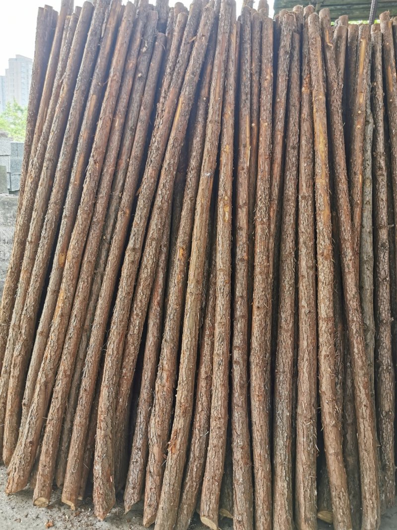 绿化衫树杆，绿化撑杆
