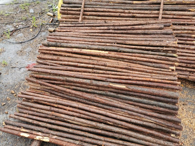 绿化衫树杆，绿化撑杆