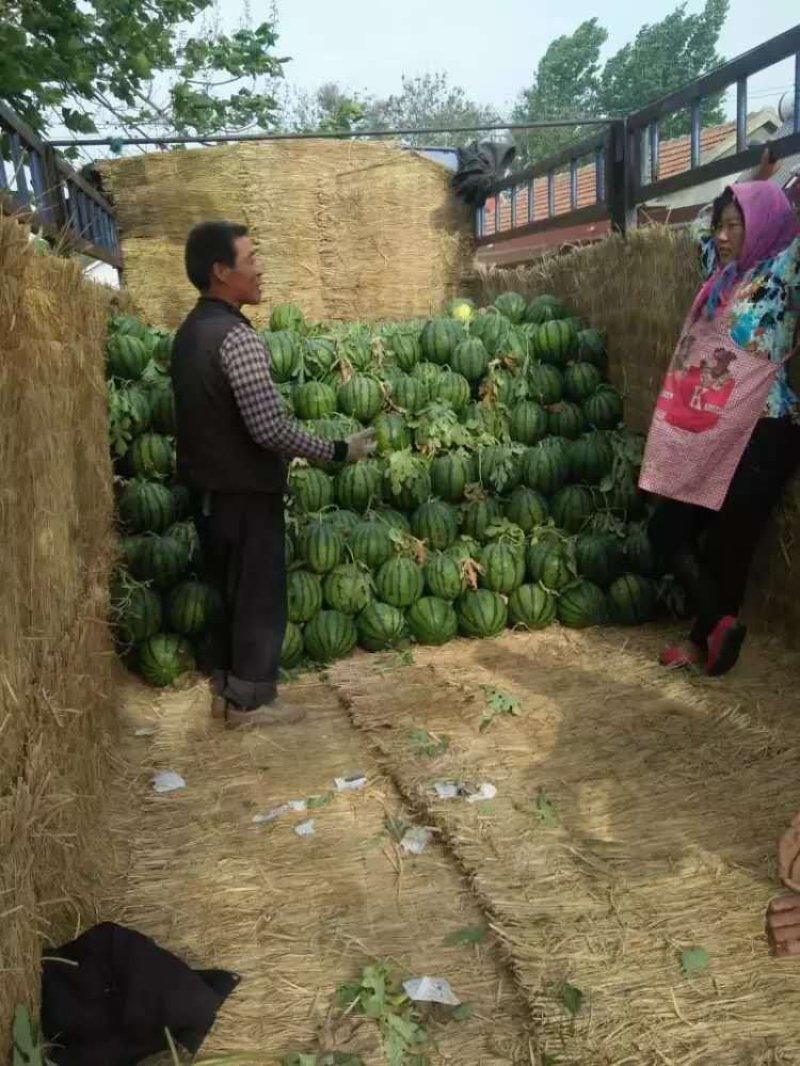 西瓜