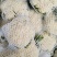 河北邯郸松花菜散花乳白菜花有机花菜全国发货