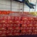 正宗福建柚子平和红心柚丶基地直采、产地直供、按需包装