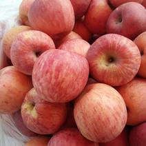 洛川红富士苹果高次，又翠又甜色泽鲜艳，甜度适中