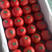临淄区皇城镇硬粉西红柿产地直供量大优先超市直供