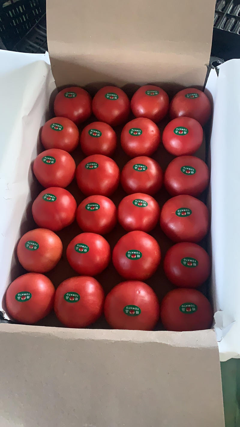 临淄区皇城镇硬粉西红柿产地直供量大优先超市直供