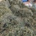 化石草肾精茶长期品控产地大货批发。量大从优货源量稳定