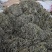 化石草肾精茶长期品控产地大货批发。量大从优货源量稳定