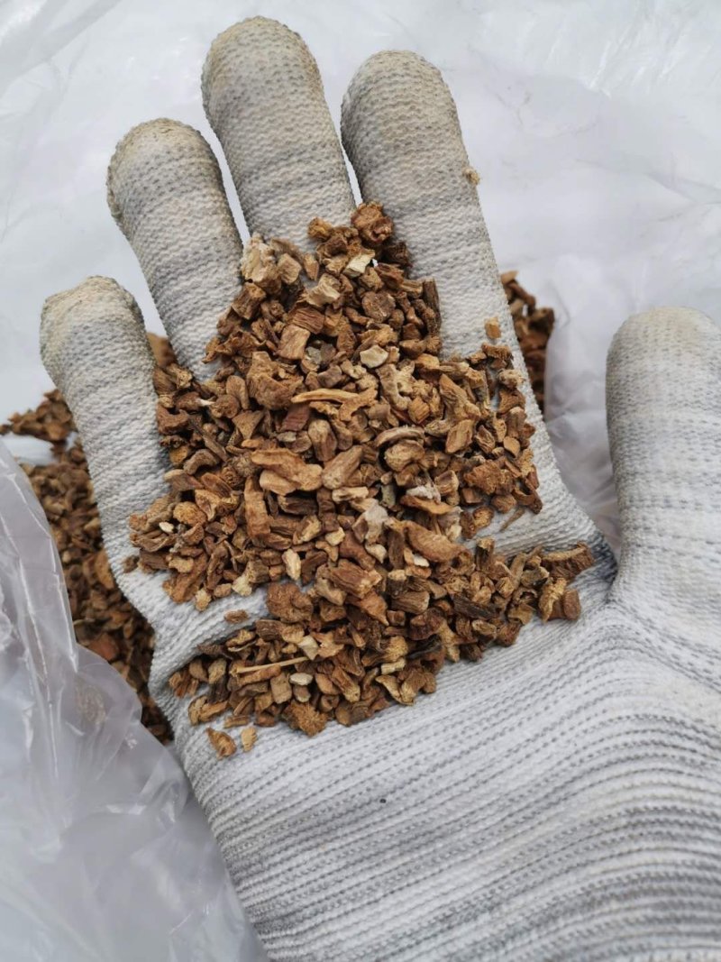 牛蒡产品牛蒡自家种植现挖现卖欢迎联系