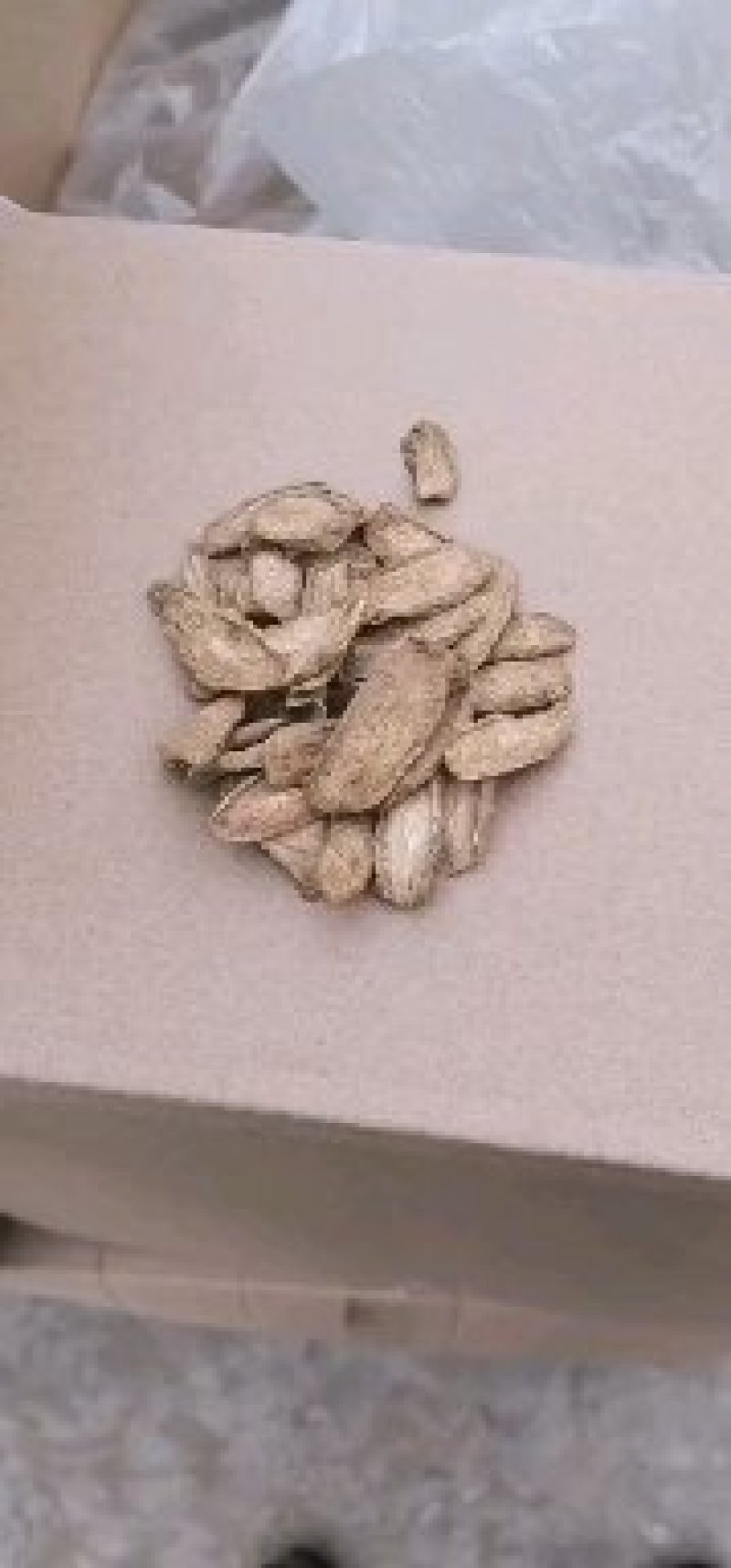 牛蒡产品牛蒡自家种植现挖现卖欢迎联系