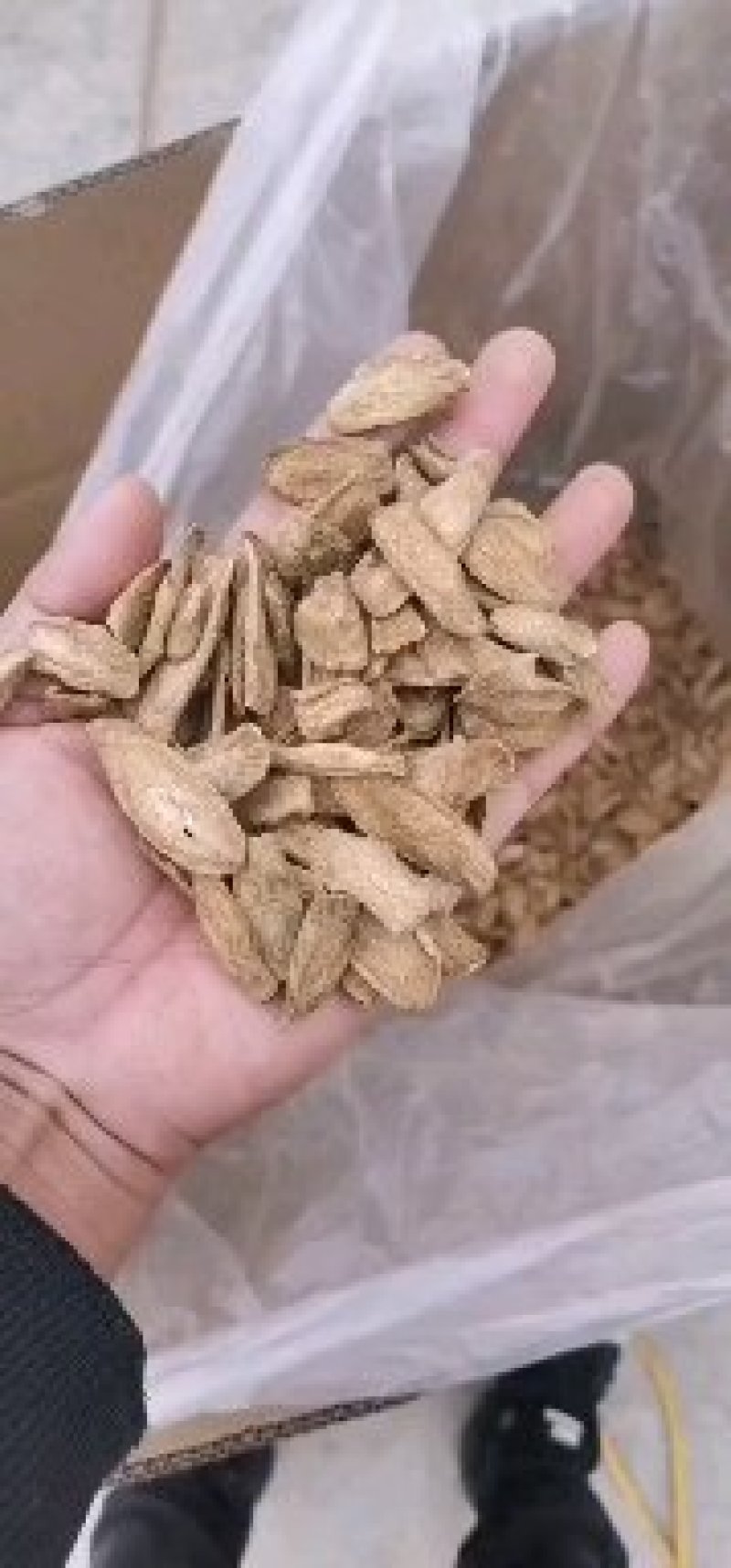 牛蒡产品牛蒡自家种植现挖现卖欢迎联系