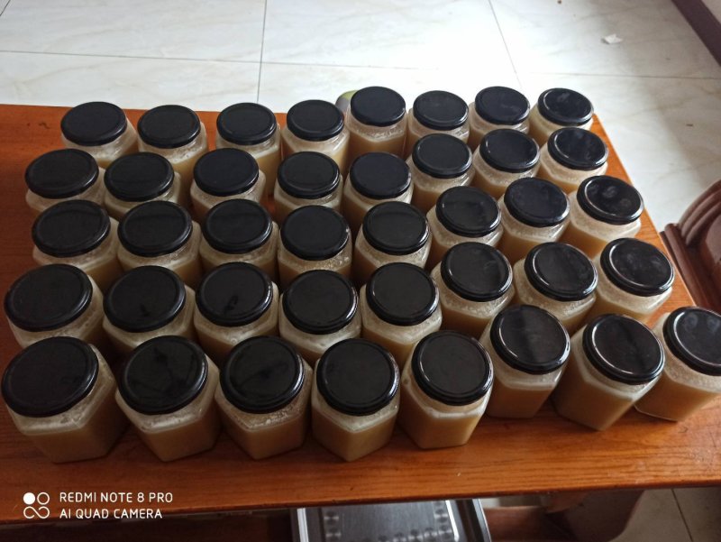 骊山土蜂蜜假一赔十！3斤100包邮起！量大优惠