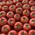 硬粉西红柿产地直供超市直供大量上市专业代办商超电商平台