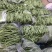 商河，精品，一二级，通货，芸豆大量上市