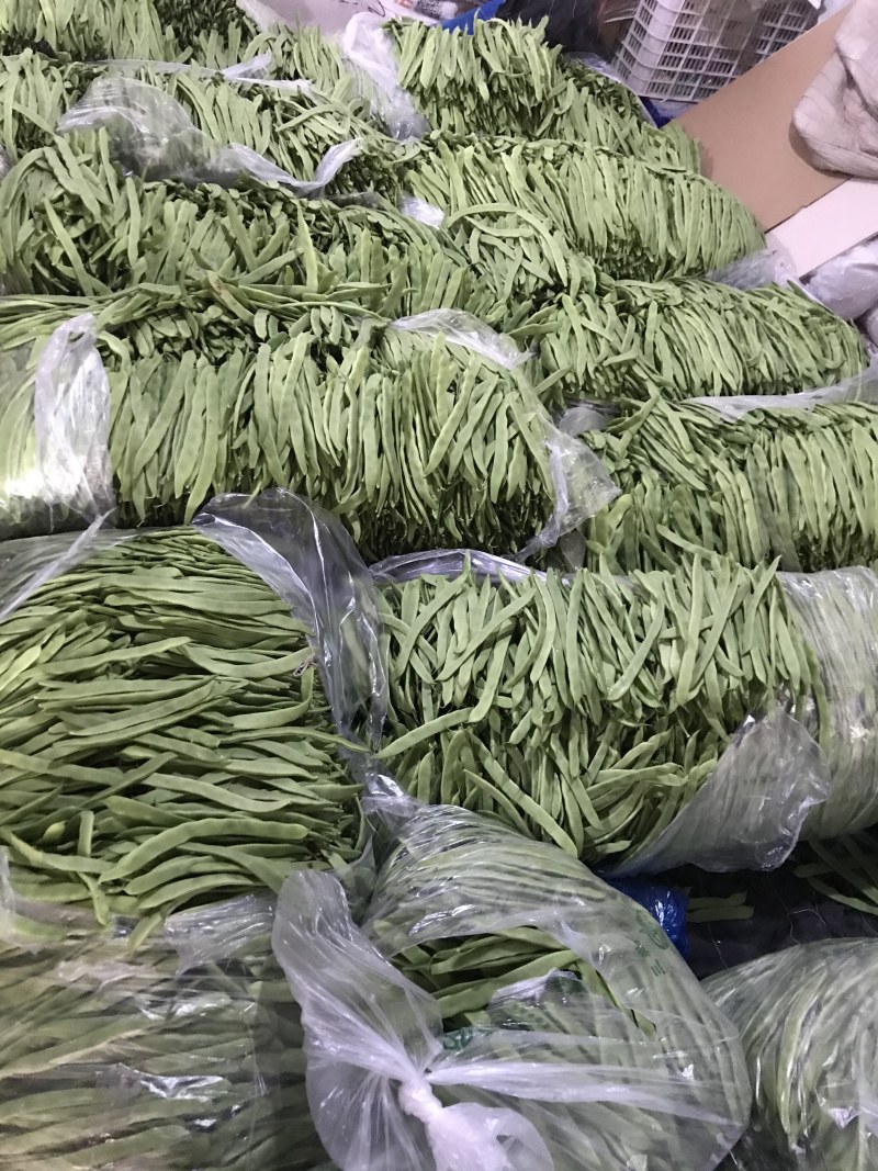 商河，精品，一二级，通货，芸豆大量上市