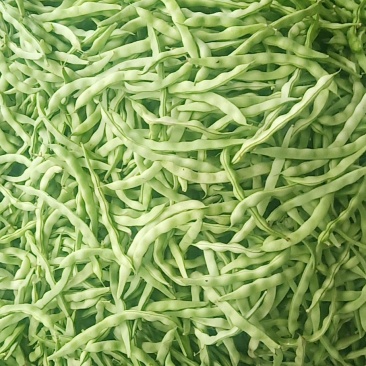 蔬菜代办
