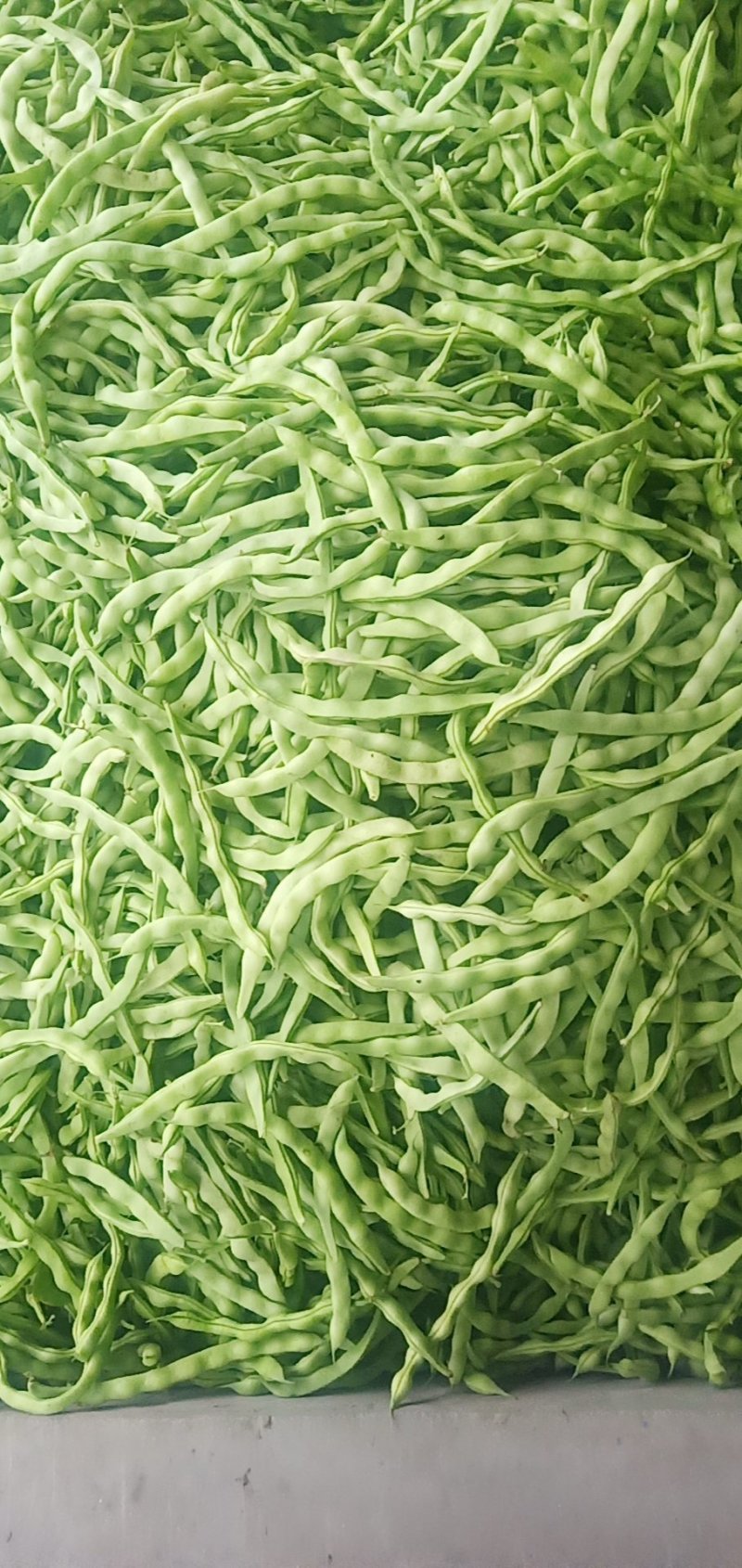 蔬菜代办