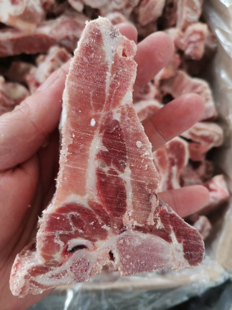 冻猪产品国产母猪龙骨块