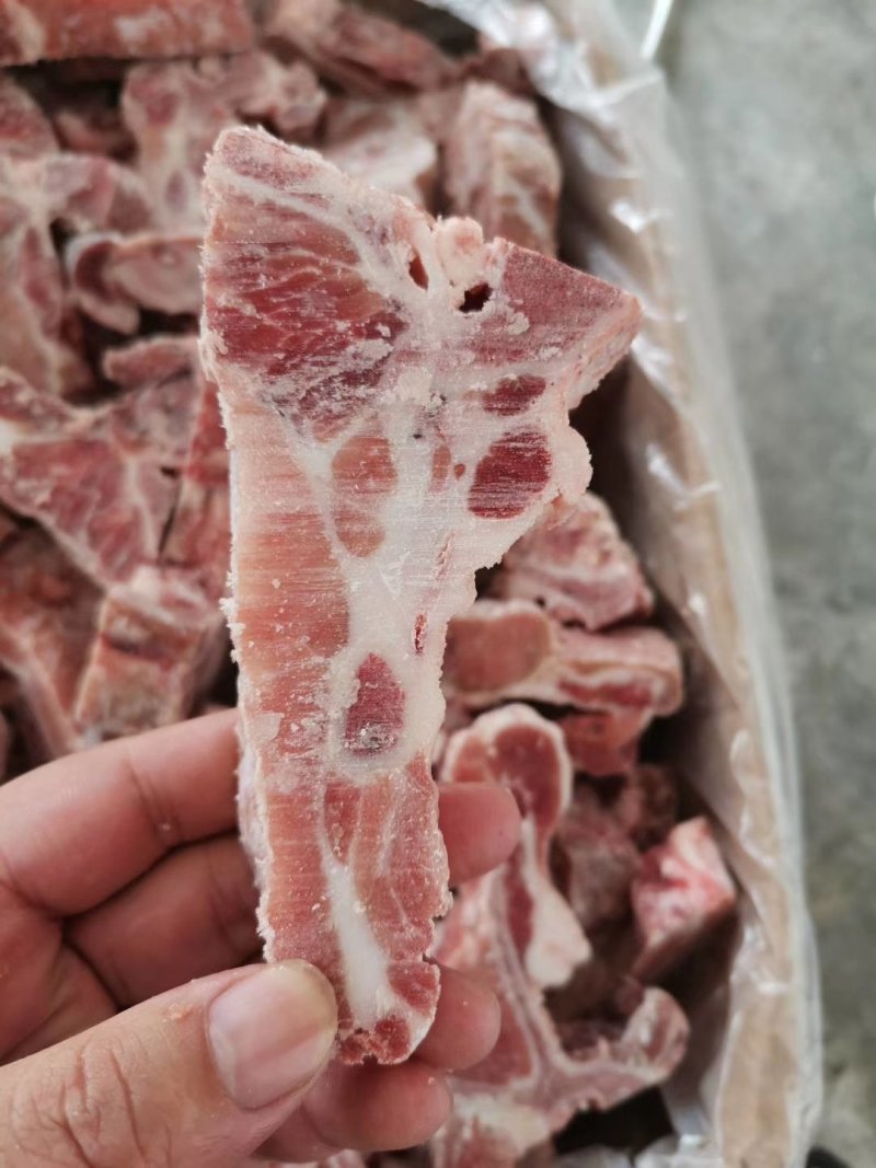 冻猪产品国产母猪龙骨块