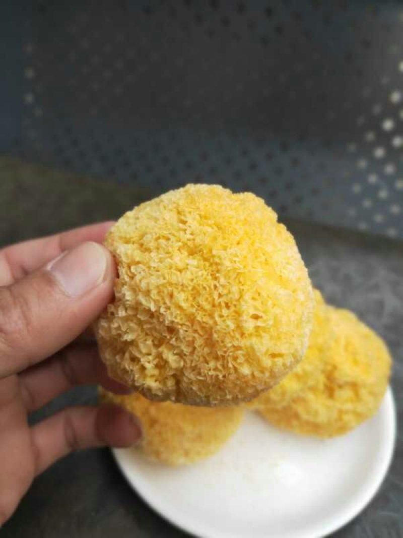 福建古田特级丑耳小银耳糯耳不含硫磺出胶快产地直销一件代发