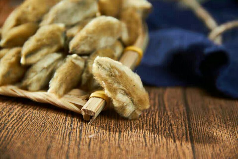 药材辛夷花毛桃玉兰花辛夷