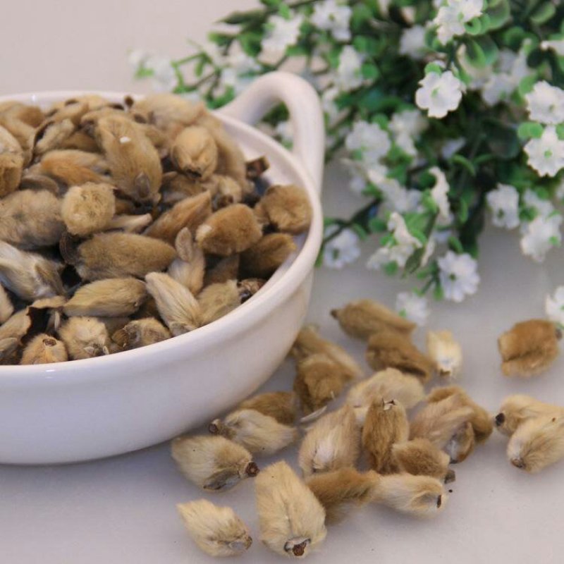 药材辛夷花毛桃玉兰花辛夷