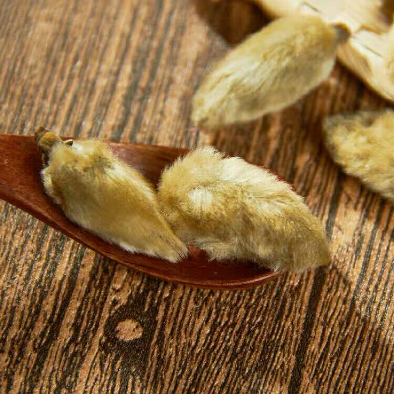 药材辛夷花毛桃玉兰花辛夷