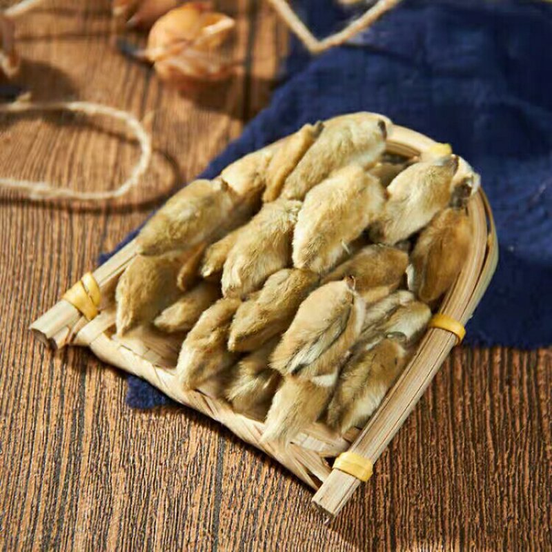 药材辛夷花毛桃玉兰花辛夷