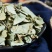 农家大叶金钱草金钱草干