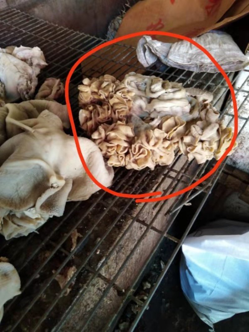 牛心牛杂一手货源纯干牛杂