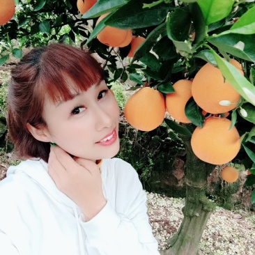 湖北秭归优质脐橙产地看货看货采摘诚信经营保质保量