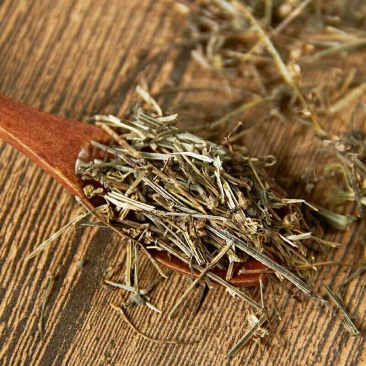 中药材生白花蛇舌草新鲜干货白花蛇草白花蛇舌草