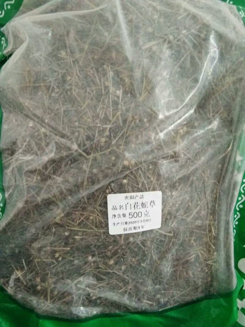 中药材生白花蛇舌草新鲜干货白花蛇草白花蛇舌草