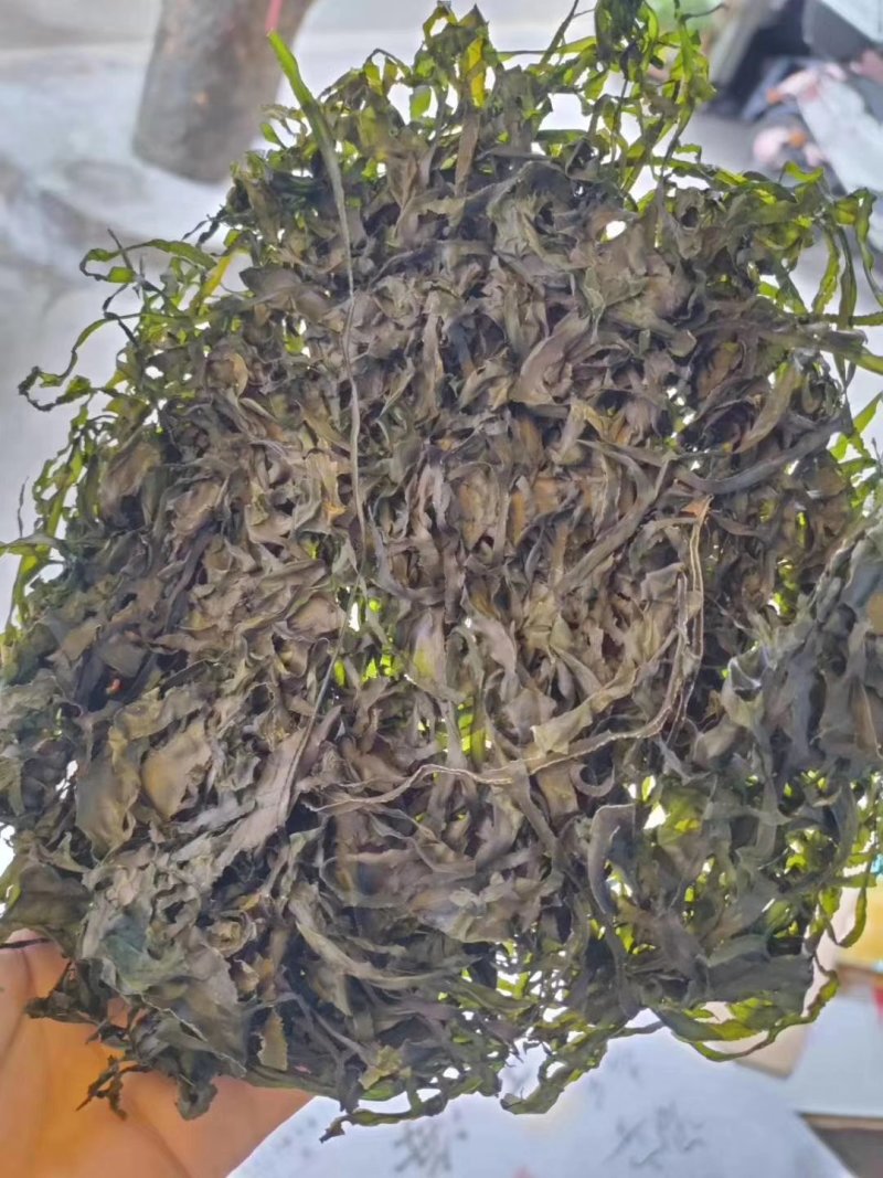 东山海带丝，无沙干净一包半斤250克优质好货，
