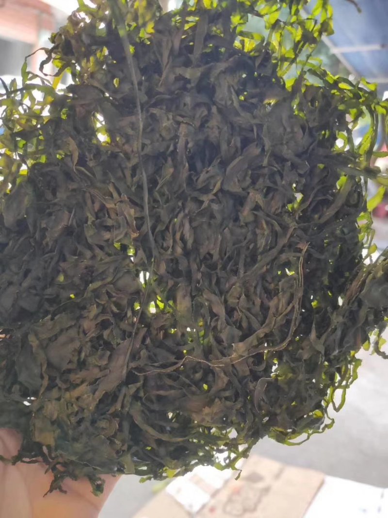 东山海带丝，无沙干净一包半斤250克优质好货，