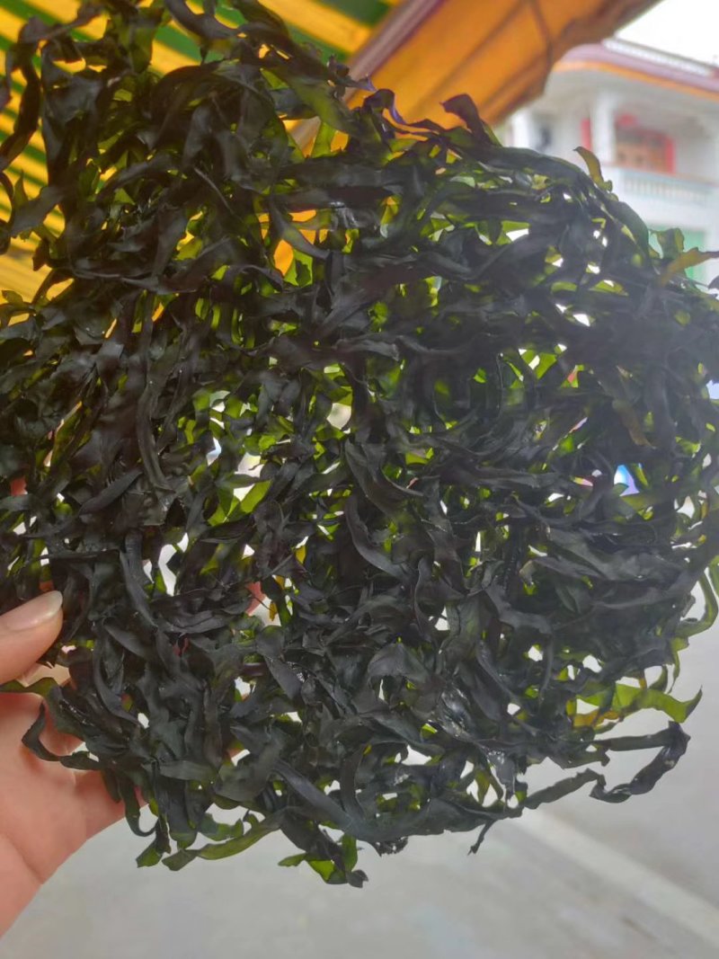 东山海带丝，无沙干净一包半斤250克优质好货，
