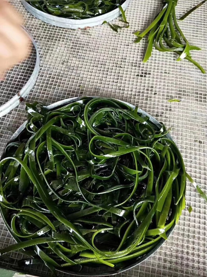 东山海带丝，无沙干净一包半斤250克优质好货，