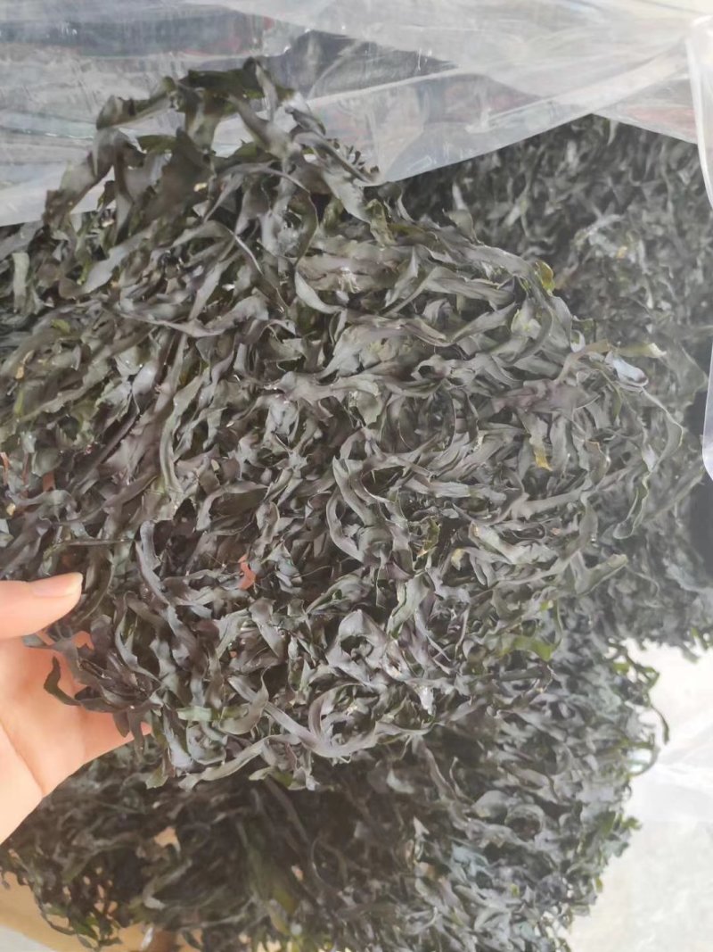 东山海带丝，无沙干净一包半斤250克优质好货，