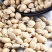 中药材精生草白扁豆种子农家峨眉豆白扁豆