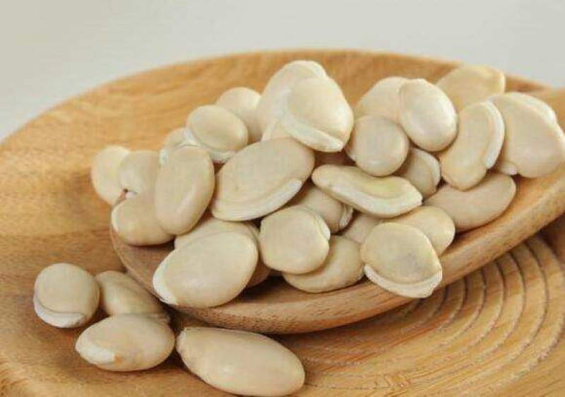 中药材精生草白扁豆种子农家峨眉豆白扁豆