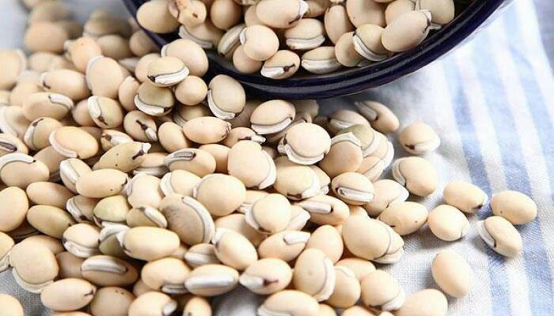 中药材精生草白扁豆种子农家峨眉豆白扁豆
